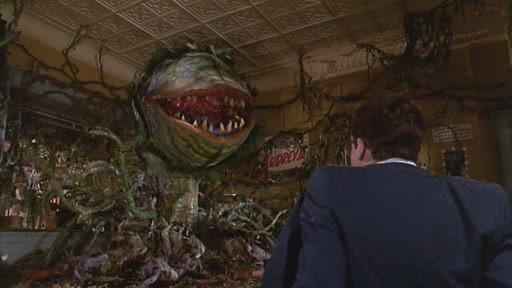 Кадр из фильма Лавка ужасов / Little Shop of Horrors (1986)