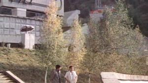 Кадры из фильма Потерпевшие претензий не имеют (1986)