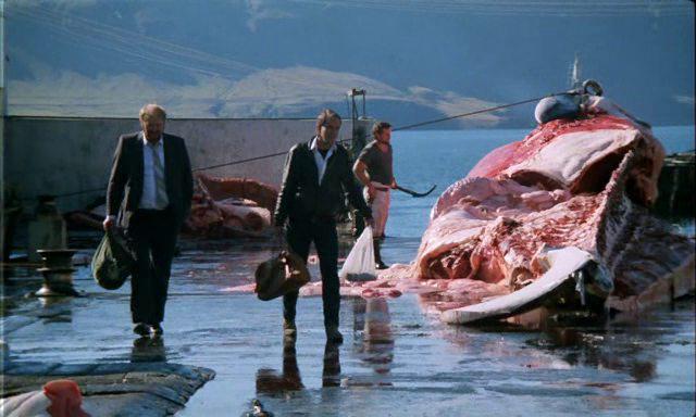 Кадр из фильма Белые киты / Skytturnar (1987)