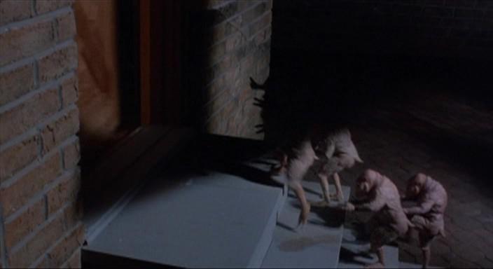 Кадр из фильма Врата / The Ninth Gate (1987)