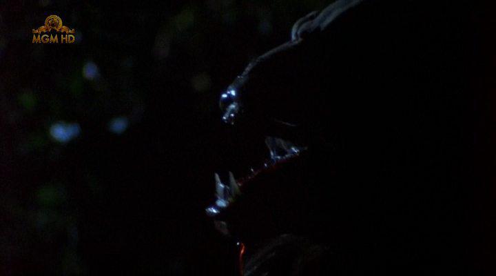 Кадр из фильма Хищник: Смерть / Predator: The Quietus (1988)