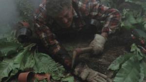 Кадры из фильма Слизни / Slugs, muerte viscosa (1988)