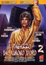 Золотое кимоно воина 2 / Il ragazzo dal kimono d'oro 2 (1988)