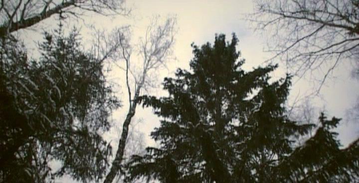 Кадр из фильма Сырые дрова (2007)