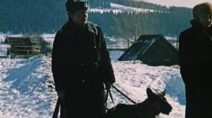 Кадры из фильма Гарем Степана Гуслякова (1989)
