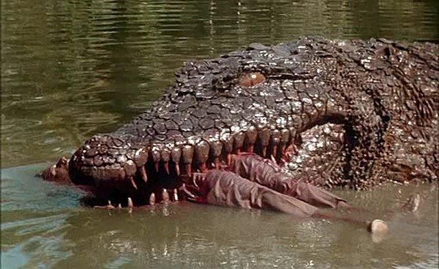 Кадр из фильма Крокодил-убийца 1,2 / Killer Crocodile (1989)
