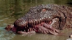 Кадры из фильма Крокодил-убийца / Killer Crocodile (1989)