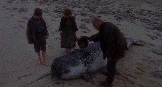 Кадр из фильма Когда прибывают киты / When the Whales Came (1989)