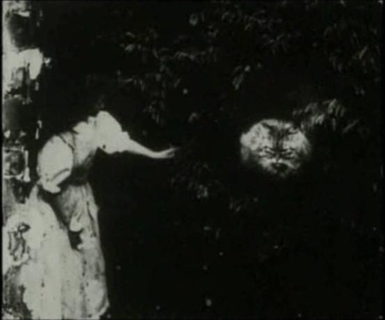 Кадр из фильма Алиса в Стране чудес / Alice in Wonderland (1903)