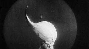 Кадры из фильма Золотой Век / L'âge d'or (1930)