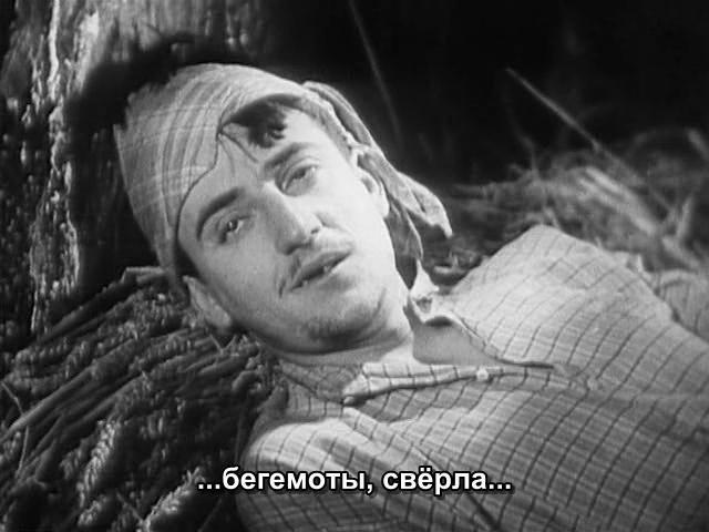 Кадр из фильма Золотой Век / L'âge d'or (1930)