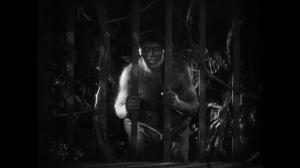 Кадры из фильма Остров потерянных душ / Island of Lost Souls (1932)