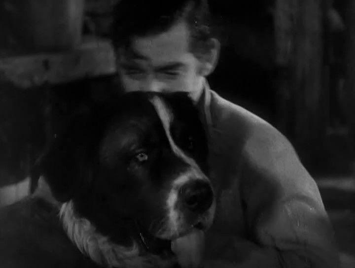 Кадр из фильма Зов предков / Call of the Wild (1935)