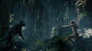 Кадры из фильма Тарзан. Легенда / The Legend of Tarzan (2016)