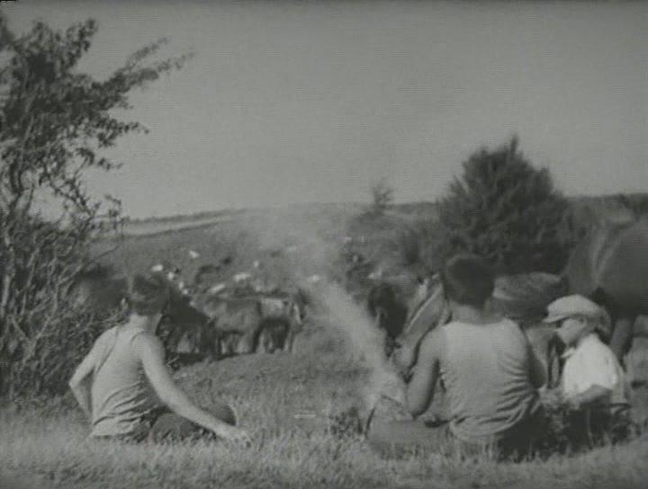 Кадр из фильма Кубанцы (1939)