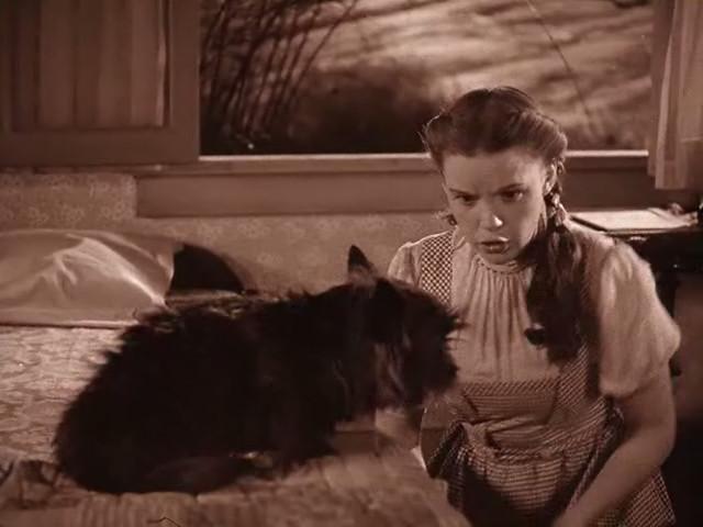 Кадр из фильма Волшебник страны Оз / Wizard of Oz (1939)