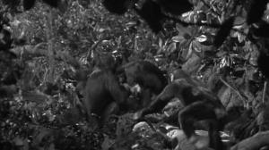 Кадры из фильма Тарзан находит сына / Tarzan Finds a Son! (1939)