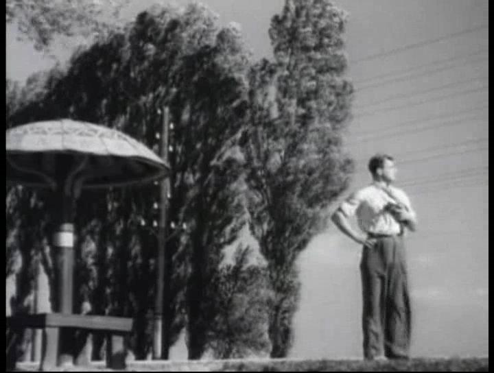 Кадр из фильма Шуми, городок (1940)