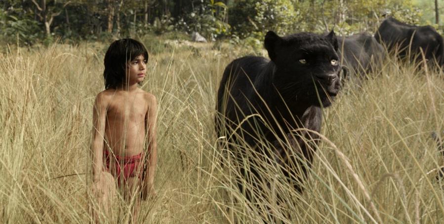 Кадр из фильма Книга джунглей / The Jungle Book (2016)