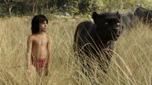 Кадры из фильма Книга джунглей / The Jungle Book (2016)