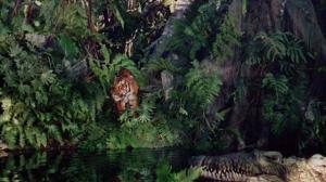 Кадры из фильма Книга джунглей / Jungle Book (1942)
