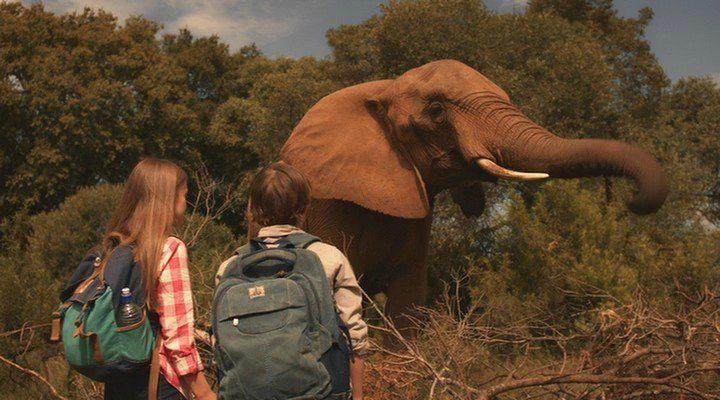 Кадр из фильма Против природы 2: Выжить в Серенгети / Against the Wild 2: Survive the Serengeti (2016)