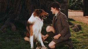Кадры из фильма Лэсси возвращается домой / Lassie Come Home (1943)