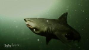 Кадры из фильма Акульи плотины / Dam Sharks (2016)