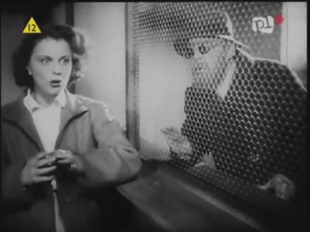 Кадр из фильма За вины не содеянные / Wrongfully Accused (1938)