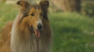Кадры из фильма Лэсси / Lassie (2006)
