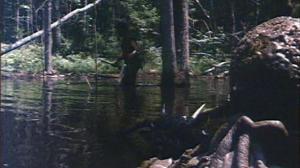Кадры из фильма Дикарка-нимфоманка в аду у динозавров / A Nymphoid Barbarian in Dinosaur Hell (1990)