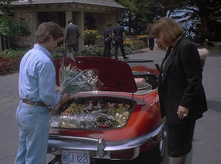Кадр из фильма Коломбо: Убийство в Малибу / Columbo: Murder in Malibu (1990)
