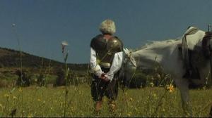 Кадры из фильма Рыцарская честь / Honor de cavalleria (2006)
