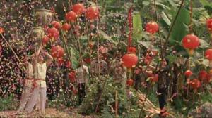 Кадры из фильма Дочери ботаника / Les filles du botaniste (2006)