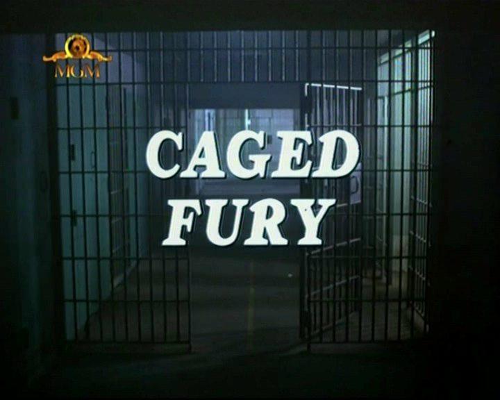 Кадр из фильма Ярость в клетке / Caged Fury (1990)