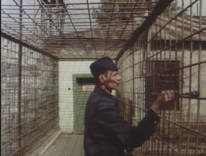 Кадр из фильма Лебединое озеро. Зона (1990)