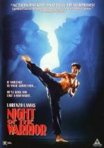 Ночь бойца / Night of the Warrior (1991)
