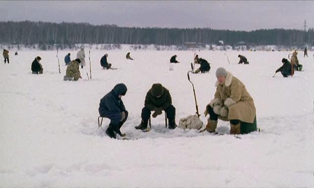 Кадр из фильма Коля - перекати поле (2005)