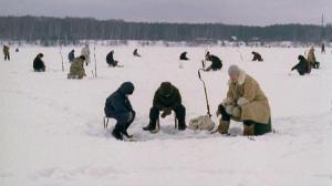 Кадры из фильма Коля - перекати поле (2005)