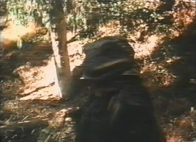 Кадр из фильма Лягушачий город 2 / Frogtown II (1992)