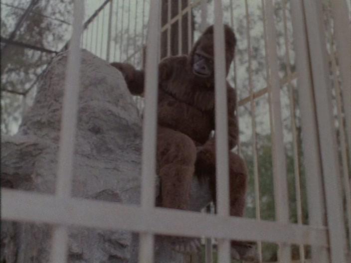 Кадр из фильма Шкура (1992)