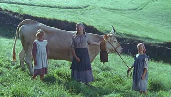 Кадр из фильма Коровы / Vacas (1992)