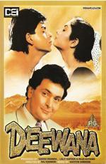 Безумная любовь / Deewana (1992)