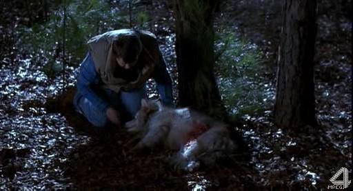 Кадр из фильма Кладбище домашних животных 2 / Pet Sematary II (1992)