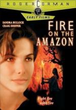 Амазонка в огне / Fire on the Amazon (1993)