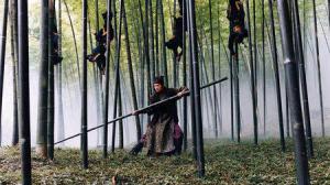 Кадры из фильма Дом летающих кинжалов / Shi mian mai fu (2005)