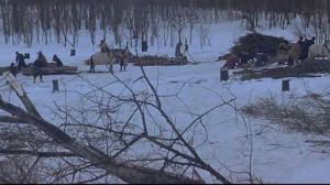 Кадры из фильма Первый год на севере (Поселенцы на Севере) / Kita no zeronen (2005)