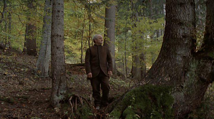 Кадр из фильма Тайна старого леса / Il segreto del bosco vecchio (1993)