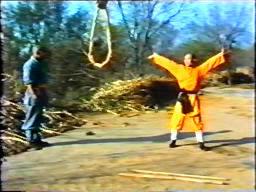 Кадр из фильма Тайное боевое искусство Шаолиня / Shao Lin zhen gong fu (1994)
