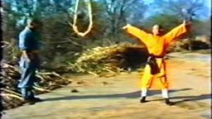 Кадры из фильма Тайное боевое искусство Шаолиня / Shao Lin zhen gong fu (1994)